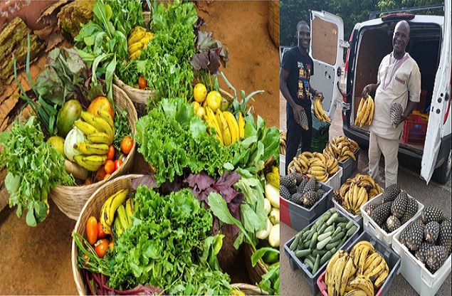 Les produits bio togolais très appréciés
