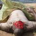 Togo: Un homme retrouvé mort dans le 4e lac, avec un oeil troué  Photo