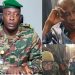 Guinée Conakry: Révélations sur ce qui a poussé les forces spéciales à déposer Alpha Condé