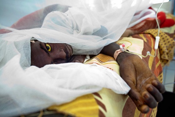 Au Ghana, 25 personnes décédées, une épidémie de fièvre jaune à l’origine