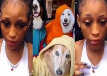 Dubai Porta Potty: Cette fille (photo) a eu des rapports s&rsquo;xuls avec un chien pour 2 500 dollars (vidéo)