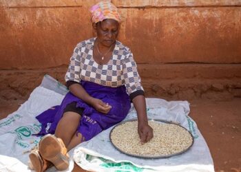 Émission d’obligations du FIDA: un jalon important pour rapprocher les marchés de capitaux des populations rurales pauvres du monde entier