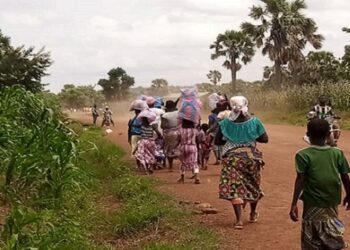 Lidoli dans le Kpendjal: Des terroristes égorgent plusieurs habitants, des armes crépitent en ce moment,  (source locale)