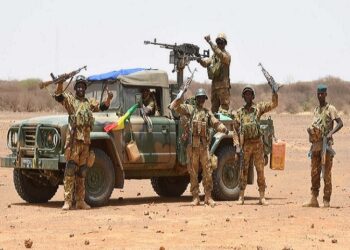 Vaste opération des FAMAS dans les zones terroristes, des bases logistiques détruites, des terroristes tués et arrêtés