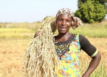 Ce fonds des Nations Unies aide les populations rurales à sortir de la faim et de la pauvreté