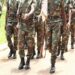 Togo: Des officiers promus aux grades supérieurs à titre exceptionnel dans les FAT