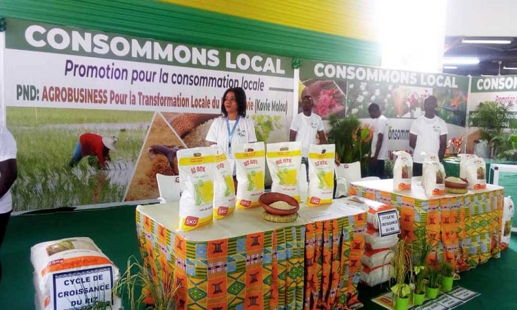 Togo: L’Agence de transformation agricole va être opérationnelle en janvier 2023