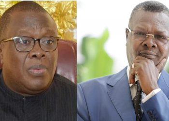 « Nous irons aux élections avec la DMP et non avec le MPDD », vice-président du MPDD, M Adja