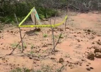Décédés en plein jeûne visant à rencontrer Jésus, des fidèles enterrés par la secte dans une fosse commune, exhumation en cours
