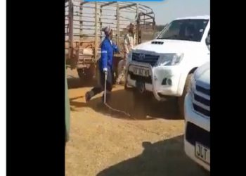 Afrique du Sud: Un ouvrier agricole fouette son employeur blanc (Vidéo)