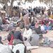 Tunisie/Sfax: La police expulse quelque 500 migrants subsahariens