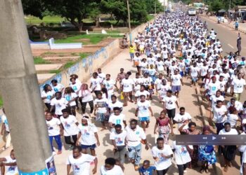 Togo: Sept (07) jours de campagne électorale dans une dynamique de paix et de convivialité