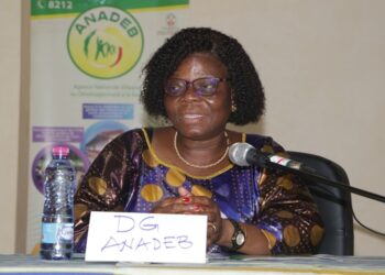 Région Maritime:De nouveaux villages bénéficiaires du FA.FSB identifiés par l&rsquo;ANADEB