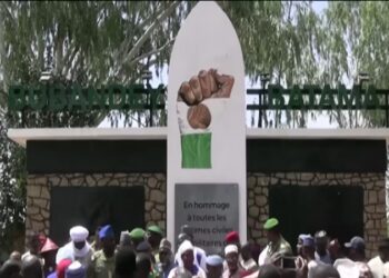 Le Niger rebaptise les lieux publics par des noms d&rsquo;héros africains