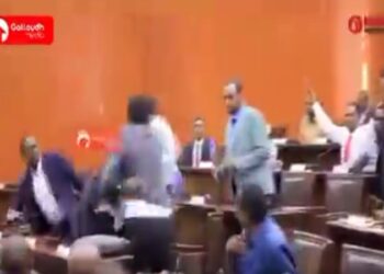 Deux députés se battent violemment au parlement (vidéo)