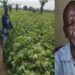 Portrait de Dagnossi Alassani, grand entrepreneur agricole à Asrama, Notsè, « Si j’ai un accompagnement en matière de tracteurs, je serai un grenier … du Togo »