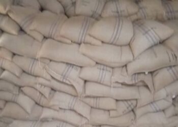 Maïs: 50 Kg à 6000 Fcfa à Nahouri au Burkina Faso