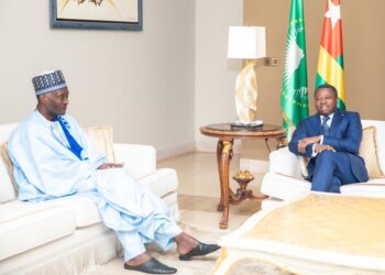 Le professeur Mamadou Seidou, PCA de l’EAMAU chez M. Faure Gnassingbé