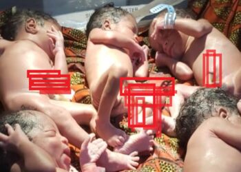 Bénin: une femme met au monde des quintuplés (photo)